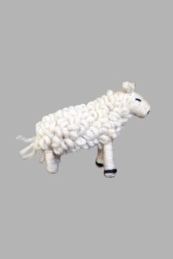 Animal’s Family – Sheep