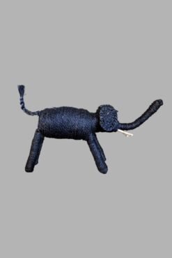 Animal’s Family – Elephant