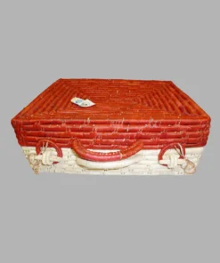 Big Suitcase Lid Red Col