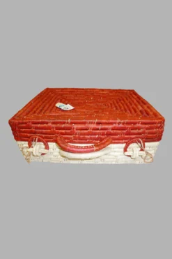Big Suitcase Lid Red Col