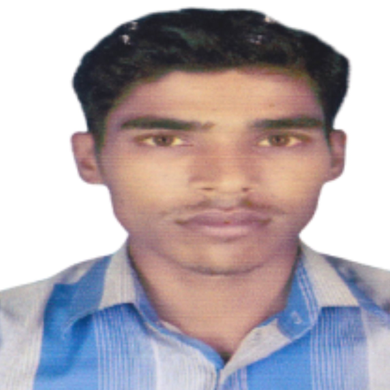 Meet the Team 8 Lemon