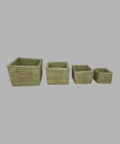 Palm Leaf Cycle Basket Set of 4