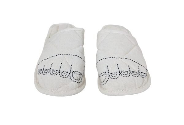 PXL ~ removebg preview