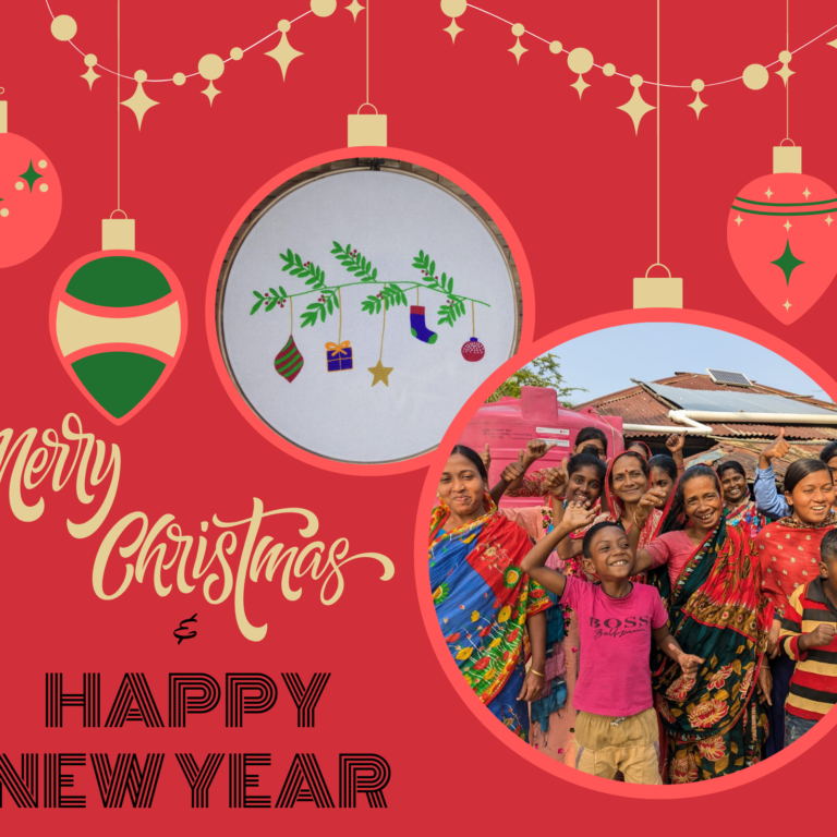 🎄Merry Christmas & Happy New Year 2025!✨