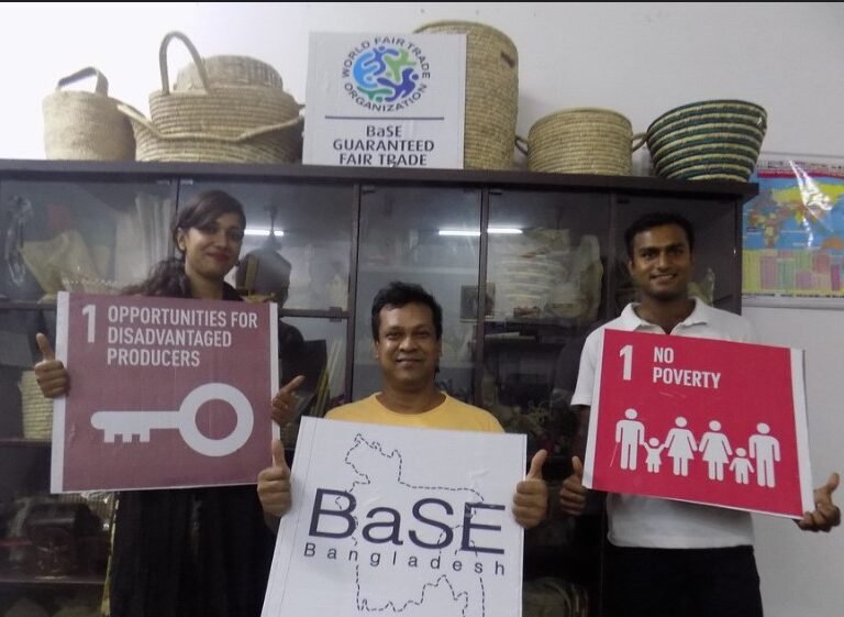 Collaborations and Success Stories: The Impact of Working Together with BaSE