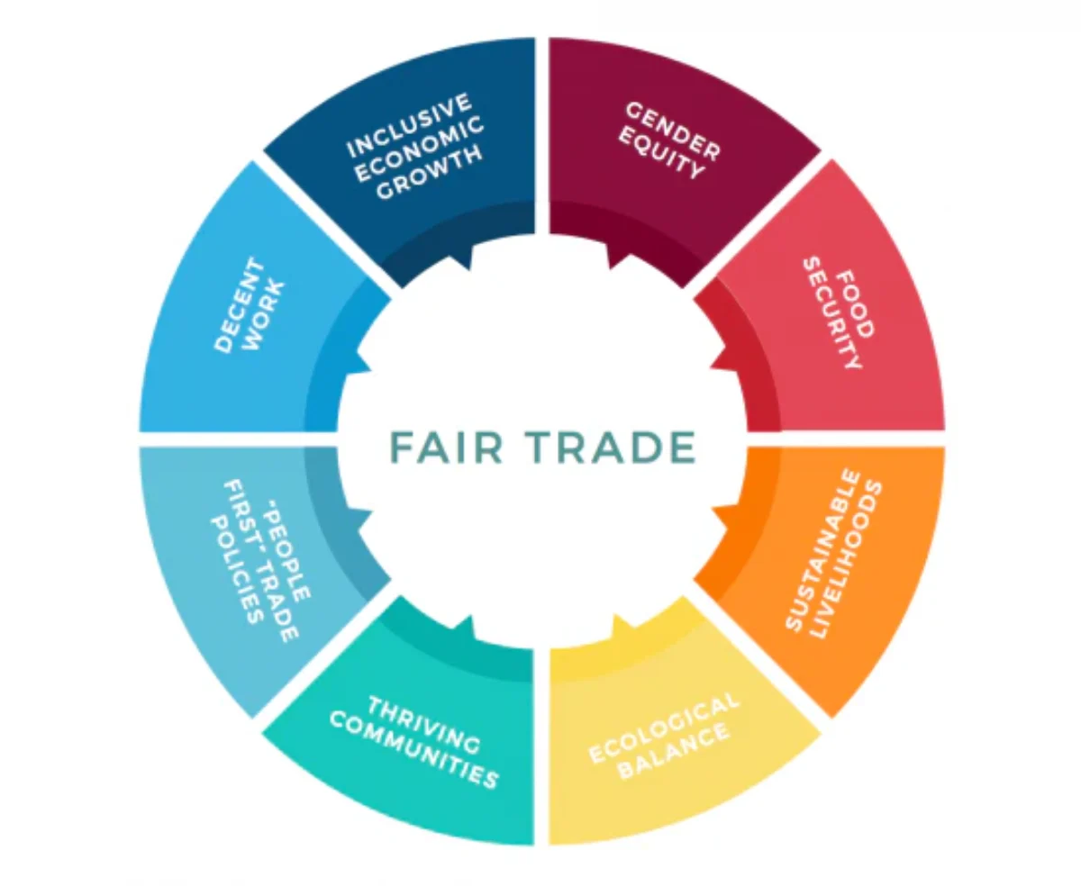 How Does Fair Trade Work? Full Guide for Ethical Consumers