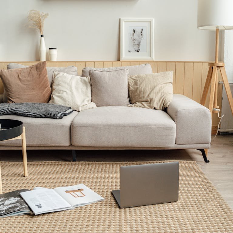 How to Clean Jute Rug Pet Stains