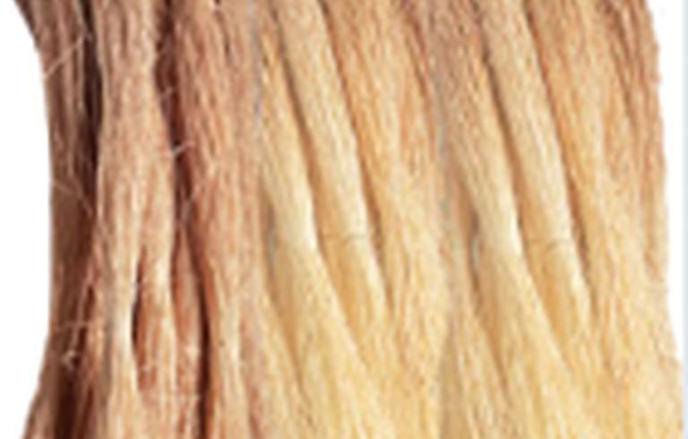 Natural raffia palm fibre