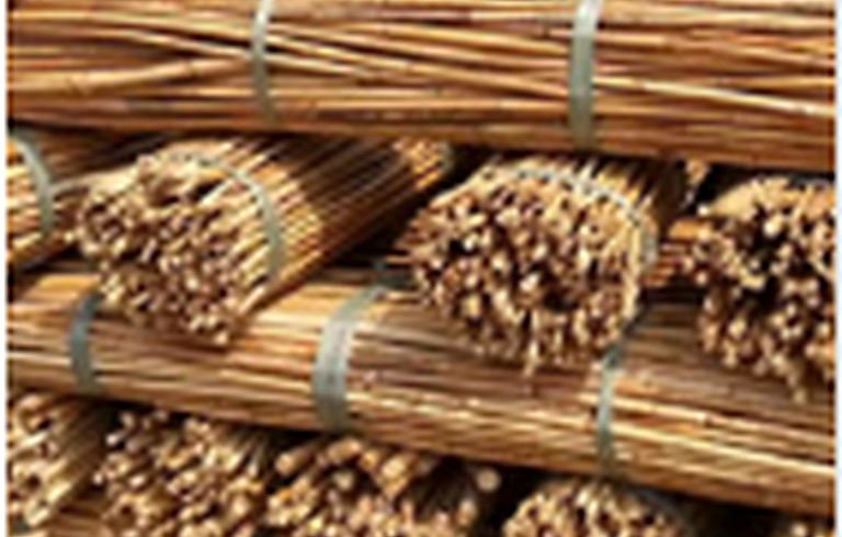 Natural rattan cane material