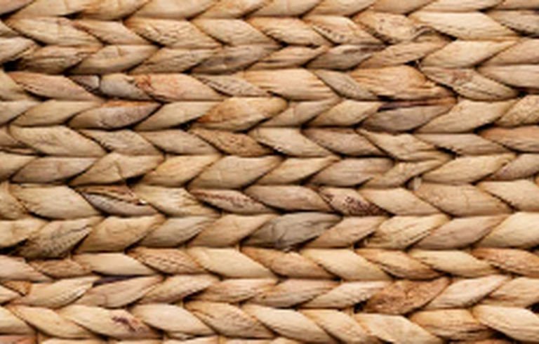 Dried water hyacinth fibre